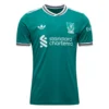 Camiseta Liverpool 2025/2026 3ª equipación